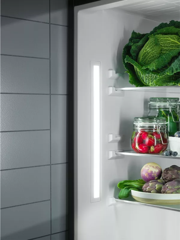 Electrolux ENS6TE19S refrigerator with freezer cm. 55 hours. 188 - according to 273 - Image 4