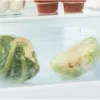Whirlpool ART 6603 SF1 refrigerator with freezer cm. 54 hours. 177 - according to 273 - Image 2