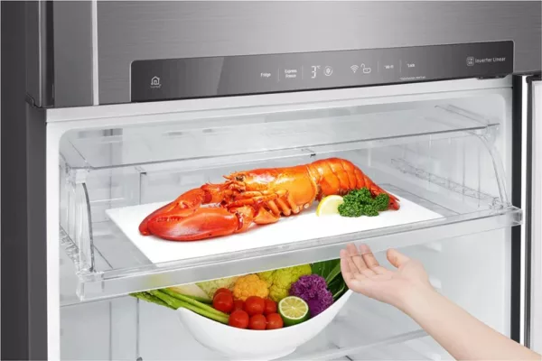 Lg GTF916PZPYD Freestanding refrigerator with freezer - cm. 86 h 184 - lt. 592 - premium stainless steel - Image 5