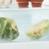 Whirlpool ART66102 built-in refrigerator with freezer cm. 54 hours. 177 - according to 273 - Image 2