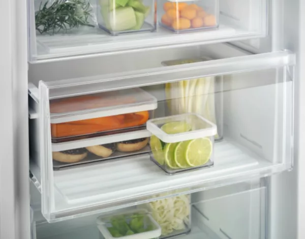 Electrolux LUT1NE32W Freestanding vertical freezer cm. 59 - h. 155 - according to 226 - white - Image 5