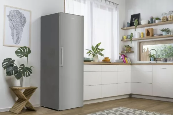 Gorenje R619EES5 Freestanding refrigerator cm. 60 hours. 185 - lt. 398 - gray - Image 11