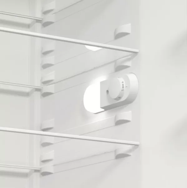 Gorenje R619EEW5 Freestanding refrigerator cm. 60 hours. 185 - according to 398 - white - Image 11