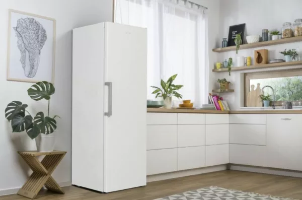 Gorenje R619EEW5 Freestanding refrigerator cm. 60 hours. 185 - according to 398 - white - Image 9