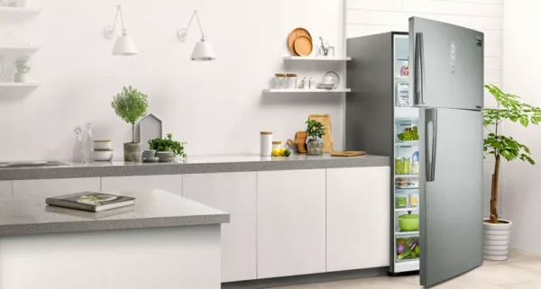 Samsung RT62K7115SL/ES 7000 Freestanding refrigerator with freezer cm. 84 h 186 - lt. 620 - silver - Image 6