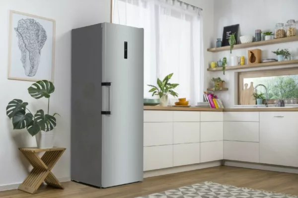 Gorenje R619EAXL6 Freestanding refrigerator cm. 60 o'clock 185 - l. 398 - stainless steel - Image 7