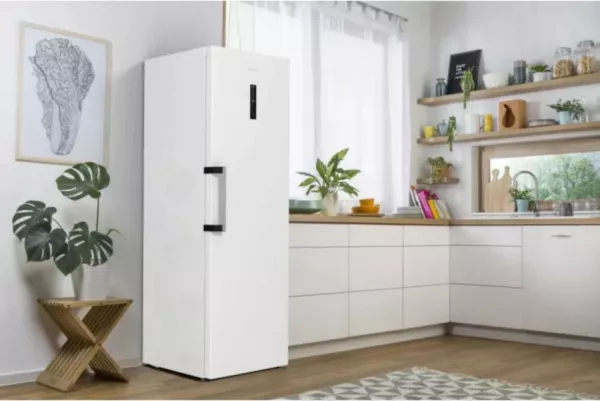 Gorenje FN619EAW6 Freestanding freezer cm. 60 o'clock 185 - l. 280 - white - Image 7