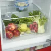 Severin RKG8997 Freestanding refrigerator with freezer - cm. 60 o'clock 195 - l. 315 - red - Image 7