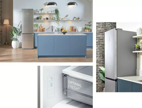 Samsung RL38C776ASR/EF Freestanding refrigerator with freezer – cm. 60 hours 203 - l. 387 - silver - Image 5
